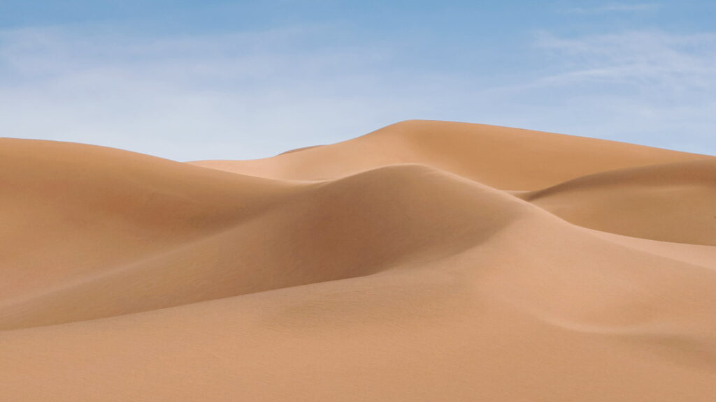 Dune